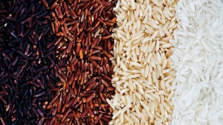Riz et brisures de riz Family Elephant